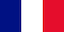 france flag rvt group