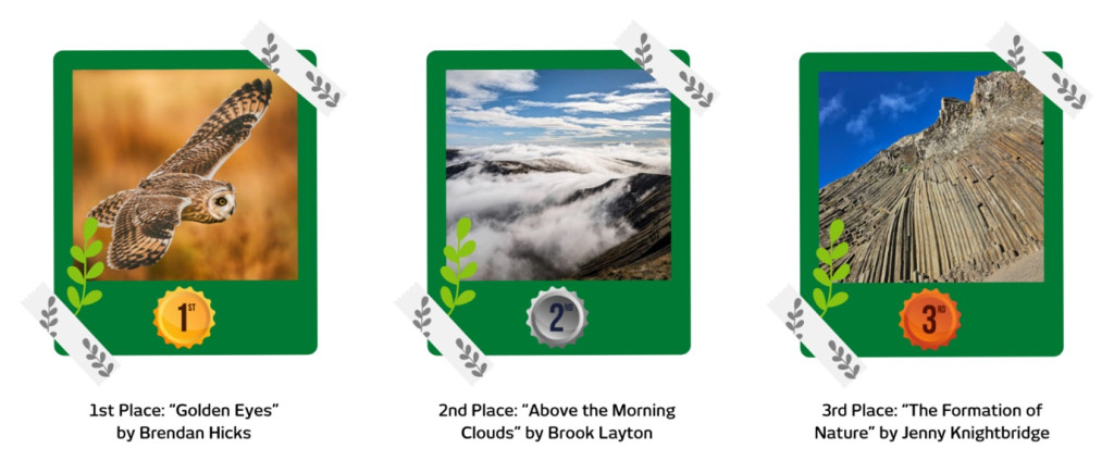 first, second and third place winning photos from RVT Group's RVT goes wild competition