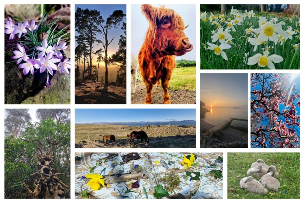 Top 10 photos taken by RVT employees for the competition 'RVT goes wild'