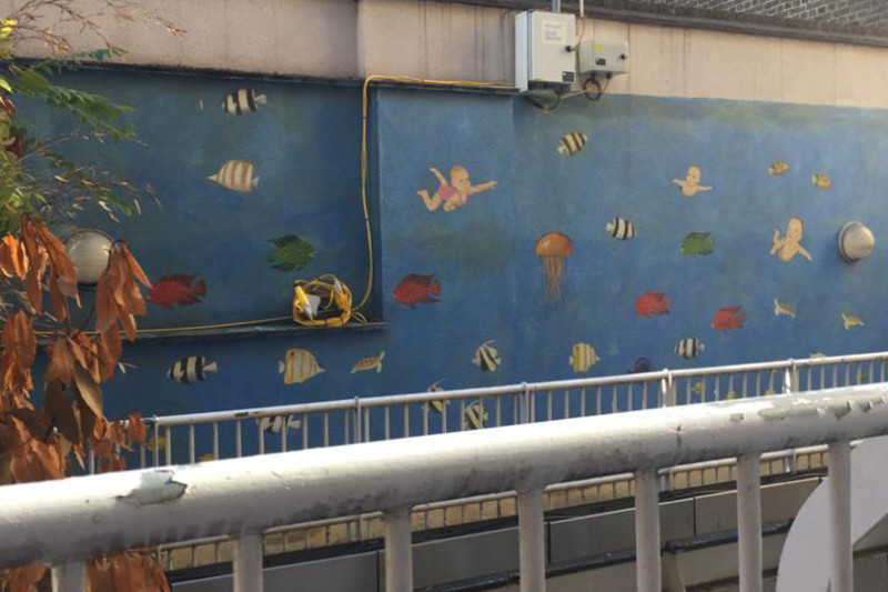 GOSH Project Photo 1