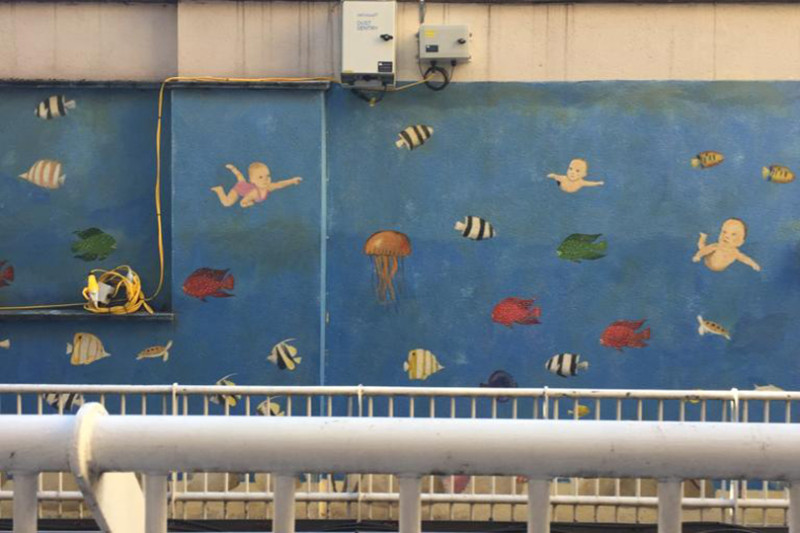 GOSH Project Photo 10