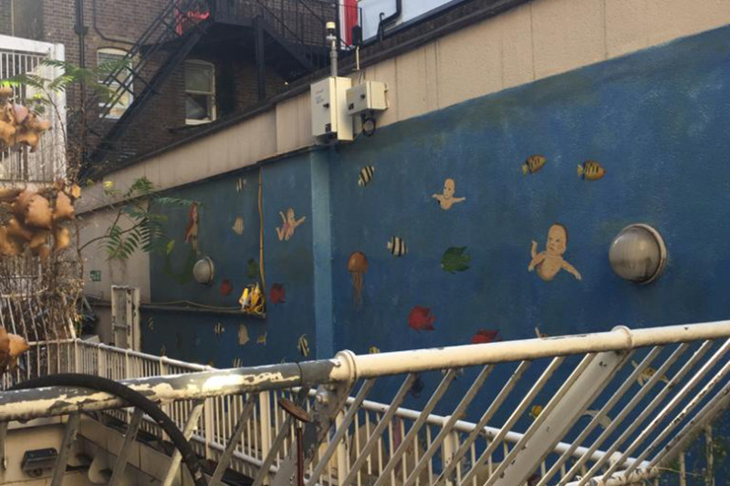 GOSH Project Photo 4