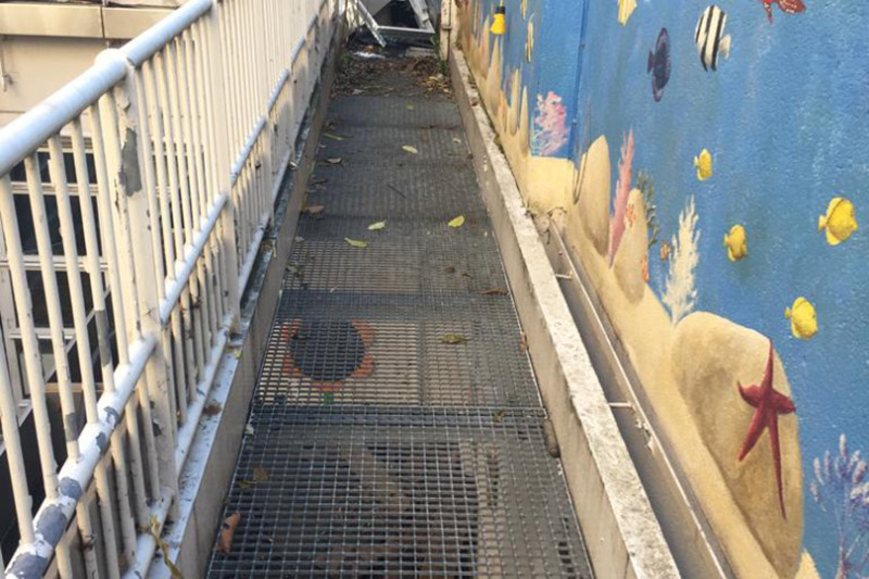 GOSH Project Photo 8