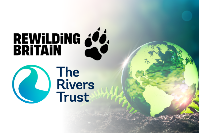 4000 Donated to Protecting the Environment