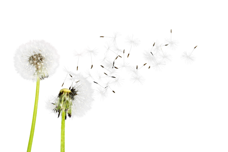 News Article image size 952 x 635 Gov ventilation update